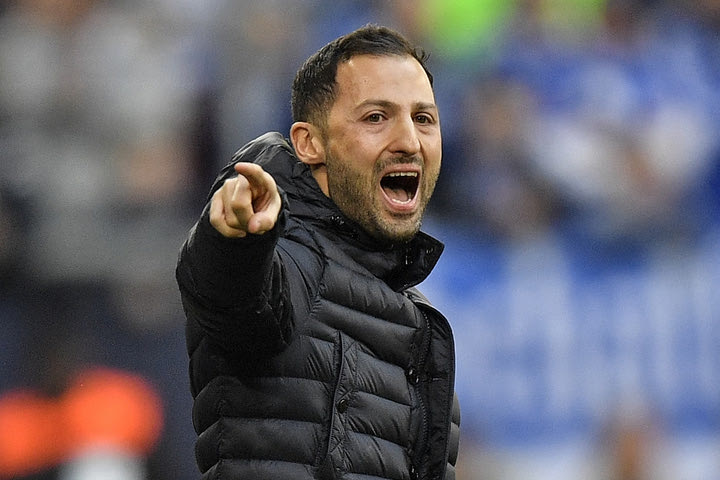 Εθνική Βελγίου: Τελειώνει ο Τεντέσκο, φαβορί για την αντικατάστασή του οι Ανρί και Ρούντι Γκαρσία