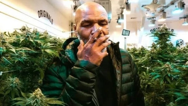 Mike Tyson: Υπογράφει το συμβόλαιο με τον Jones κάνοντας χρήση κάνναβης