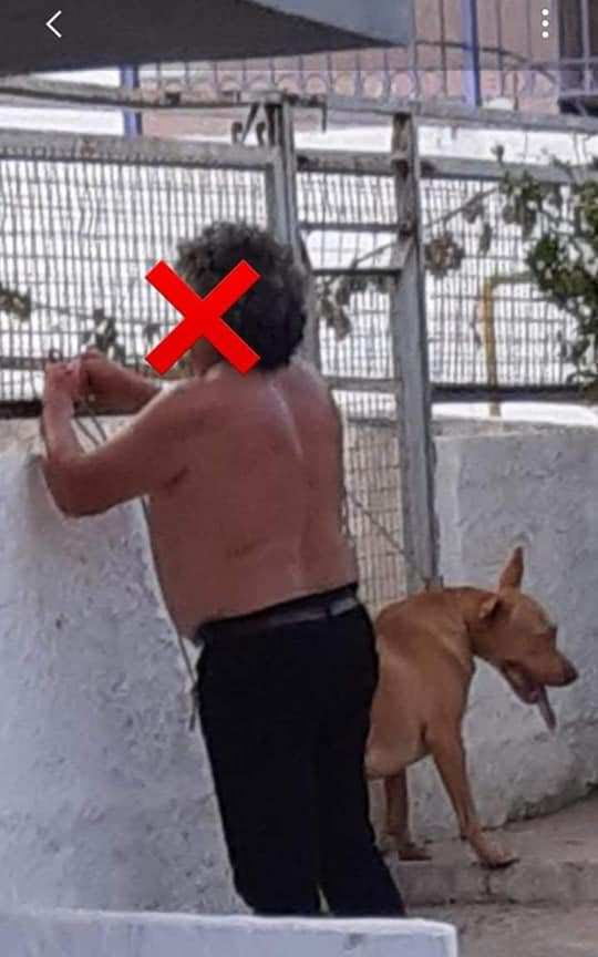 Κρήτη: Σε διαθεσιμότητα ο υπάλληλος της ΔΕΗ που βασάνισε φρικτά τον σκύλο του