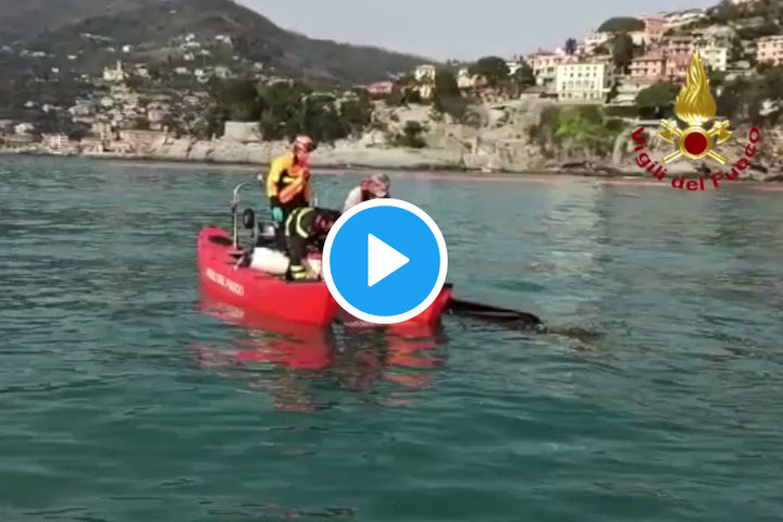 Διακόσια φέρετρα “βούτηξαν” στην θάλασσα, λόγω κατάρρευσης νεκροταφείου