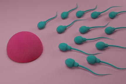 Κωπηλασία: Τέταρτες οι Μπούρμπου – Κυρίδου στο Ευρωπαϊκό