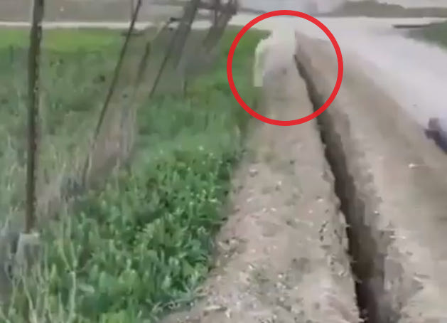 Αυτό είναι το πιο ξεκαρδιστικό βίντεο που θα δείτε σήμερα