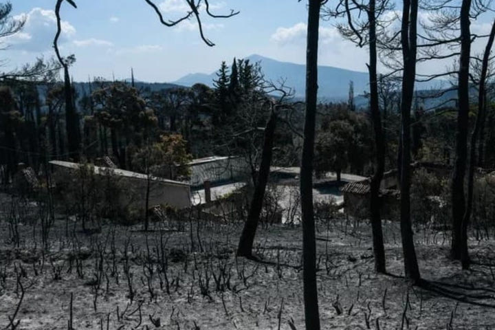 Τατόι, η επόμενη μέρα: χρηματικές δωρεές, προσφορές από φυτώρια κι εθελοντές
