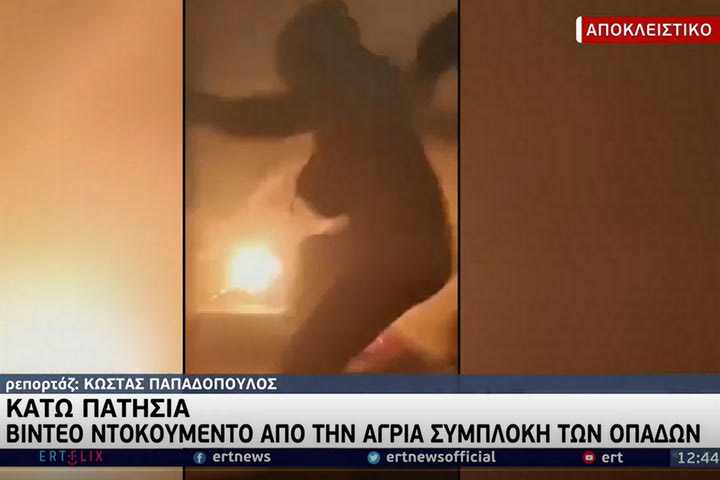 Βίντεο ντοκουμέντο από την επίθεση στον σύνδεσμο του Παναθηναϊκού