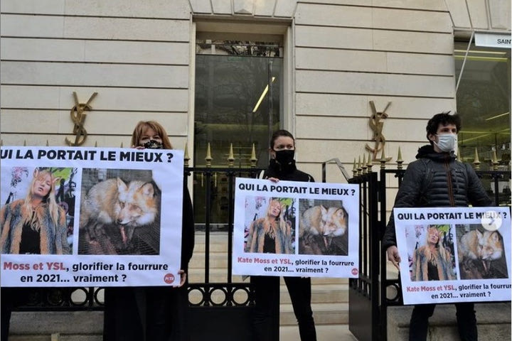 Ο οίκος Saint Laurent σταματά οριστικά την χρήση γούνας μετά από πίεση φιλοζωϊκών οργανώσεων