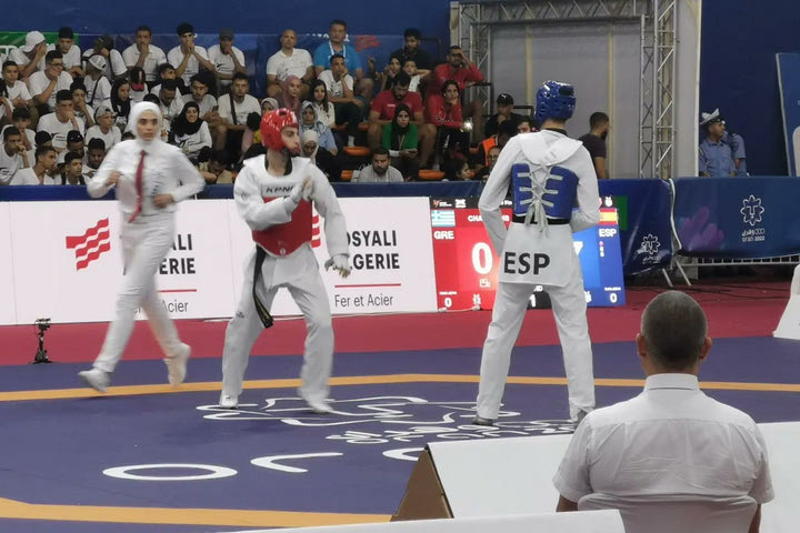 Μεσογειακοί Αγώνες: Χάλκινος ο Χαμαλίδης στο Τάε Κβον Ντο