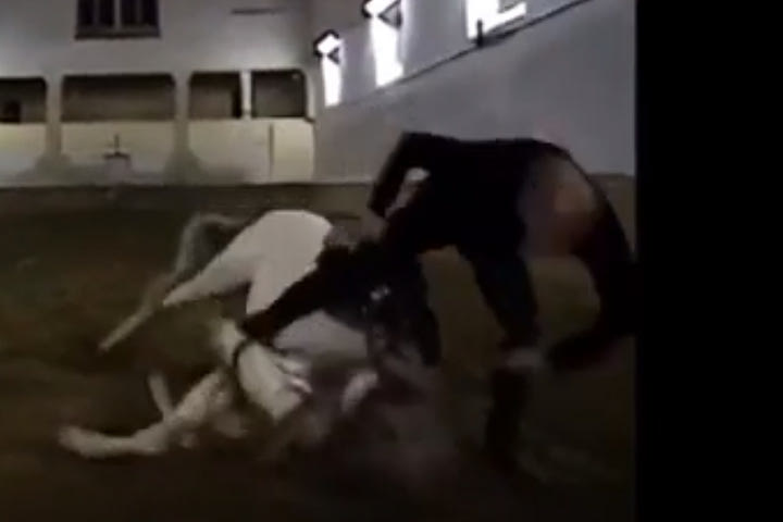 Ο Ζιντάν έκανε ιππασία και έπεσε από το άλογο, αλλά διατήρησε το στυλ του