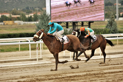 MARKOPOULO PARK: Συναρπαστικές αφίξεις και πολλοί νικητές στην 5η συγκέντρωση της χρονιάς