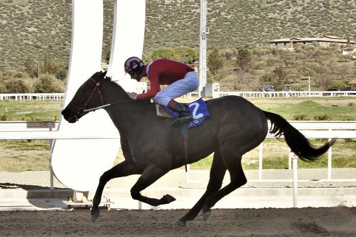 Markopoulo Park: Μεγάλα κέρδη μοίρασε το ΣΚΟΡ 6