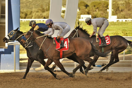 Markopoulo Park: 33 νικητές στο ΣΚΟΡ 6 κέρδισαν από 1.624 ευρώ τη Δευτέρα