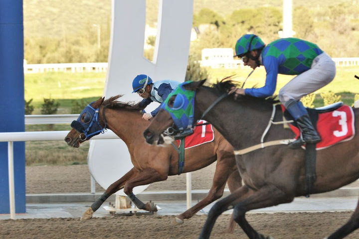 Markopoulo Park: Μεγάλα κέρδη μοίρασε το ΣΚΟΡ 6