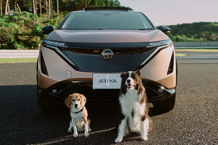 Η Nissan λέει πως η τετρακίνηση e-4ORCE προσφέρει το ιδανικό ταξίδι στο αγαπημένο μας κατοικίδιο