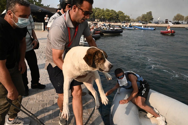 Συγκλονιστικές εικόνες στην Νέα Αγχίαλο, αναβλήθηκε το Παγκόσμιο Ιστιοπλοΐας και οι αποστολές βοηθούν τον κόσμο