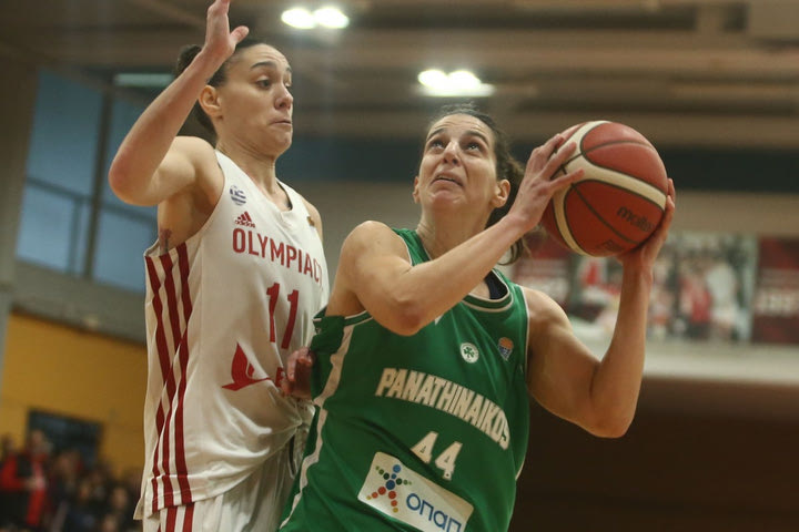Κύπελλο Γυναικών: Πιθανό το Παναθηναϊκός – Ολυμπιακός στα προημιτελικά της διοργάνωσης