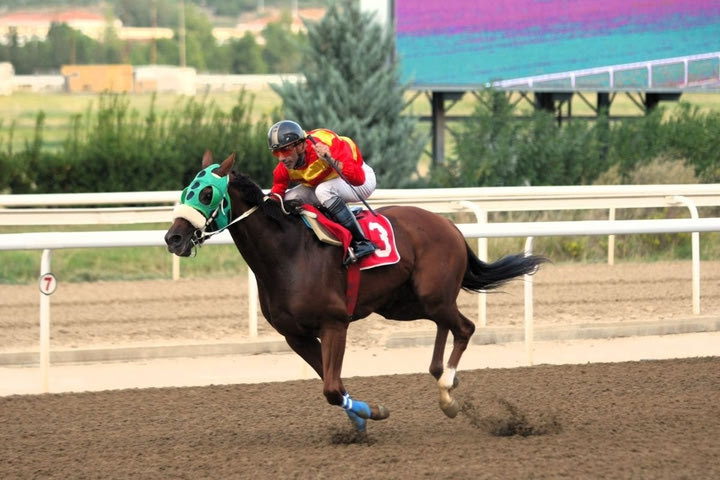 Markopoulo Park: Έξι νικητές στο ΣΚΟΡ 6 κέρδισαν από 2.933 ευρώ