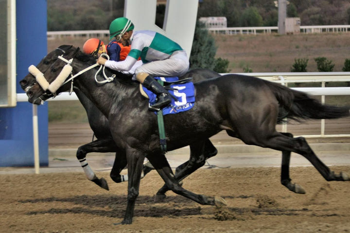 Τη Δευτέρα στο Markopoulo Park το 77ο Ελληνικό Ντέρμπι