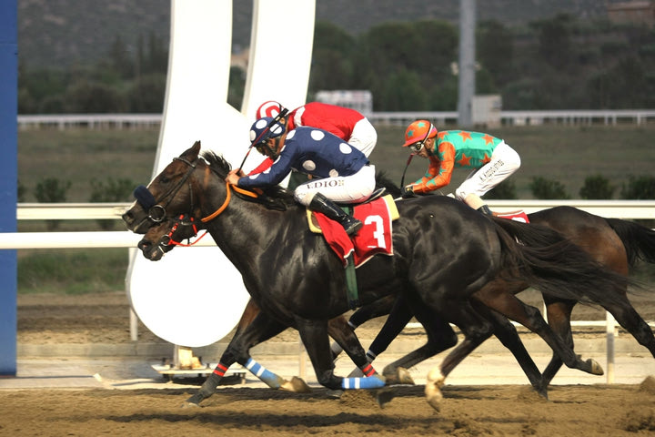 Markopoulo Park: Επτά ελληνικές κούρσες στη συγκέντρωση της Δευτέρας