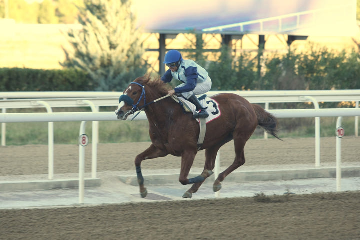 Ο ΡΕΒΑΜΠ και Παναγιώτης Δημητσάνης κατέκτησαν το Κύπελλο Μεγάλου Αλεξάνδρου στο Markopoulo Park