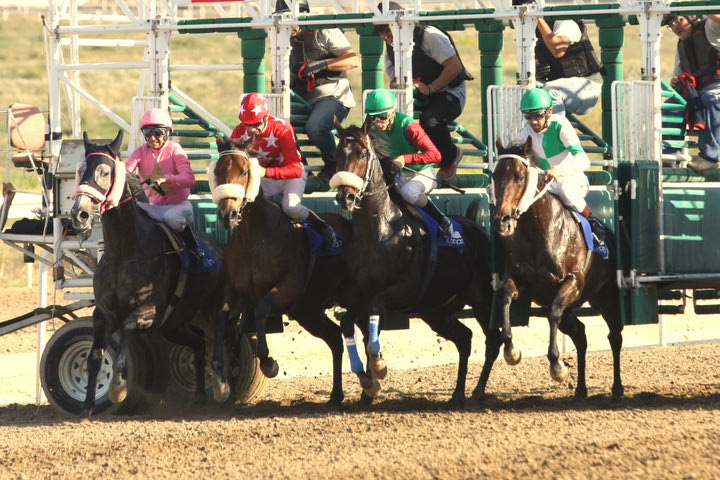 Markopoulo Park: Έξι ελληνικές κούρσες στη συγκέντρωση της Δευτέρας