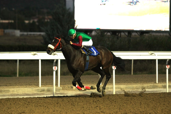 Markopoulo Park: O ΡΕΒΑΜΠ (USA) κατέκτησε το Winter Challenge των 4 ετών και άνω