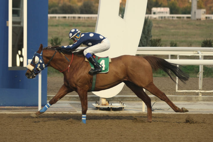 Markopoulo Park: Ένας νικητής στο ΣΚΟΡ 6 κέρδισε 14.320 ευρώ