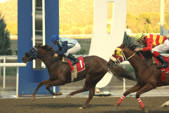 Δεκαεπτά κορυφαίοι ίπποι στα Winter Challenge στο Markopoulo Park