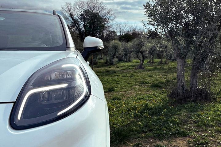 Η Ford εξέτασε ως πρώτη ύλη ακόμα και τα… άχρηστα φυλλώματα από τη συγκομιδή της ελιάς