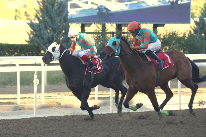Πέντε ελληνικές κούρσες τη Δευτέρα στο Markopoulo Park