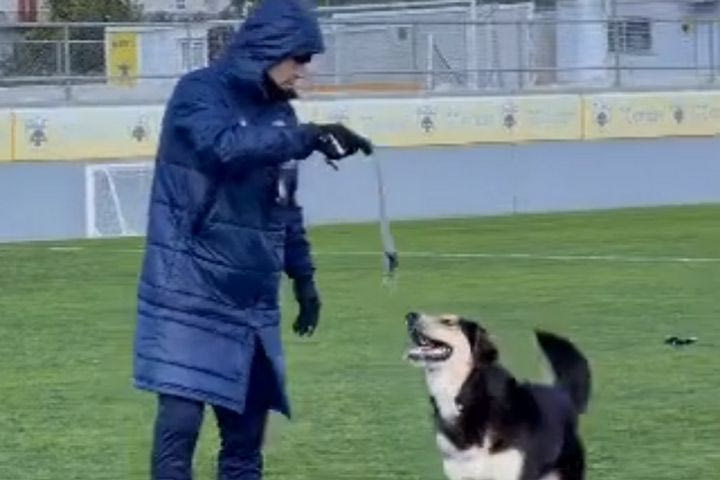 ΑΕΚ: Ο Μαλέβο μεγάλωσε και παίζει με τον Αλμέιδα στα Σπάτα