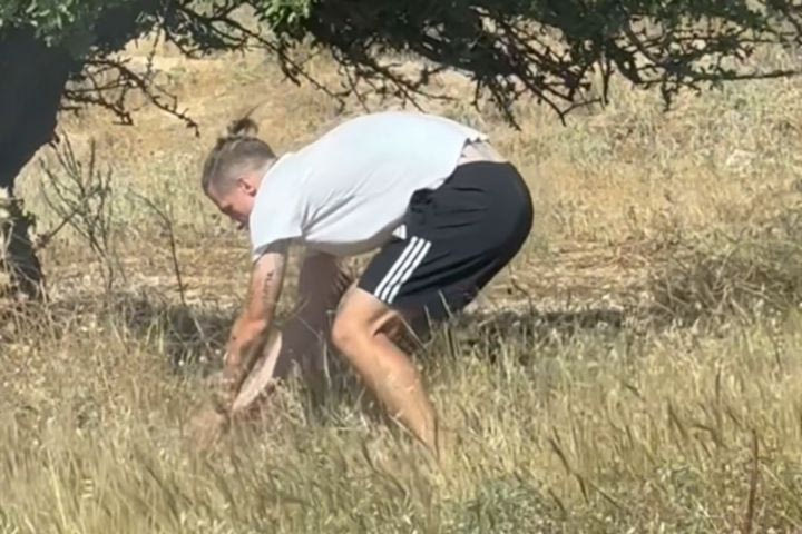 Παναθηναϊκός: Ο Γεντβάι απομάκρυνε μία χελώνα από τη μέση του δρόμου για να μην την χτυπήσει κάποιο αυτοκίνητο