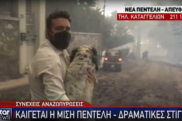 Φωτιά στην Αττική: Ρεπόρτερ έσωσε σκύλο στη Νέα Πεντέλη