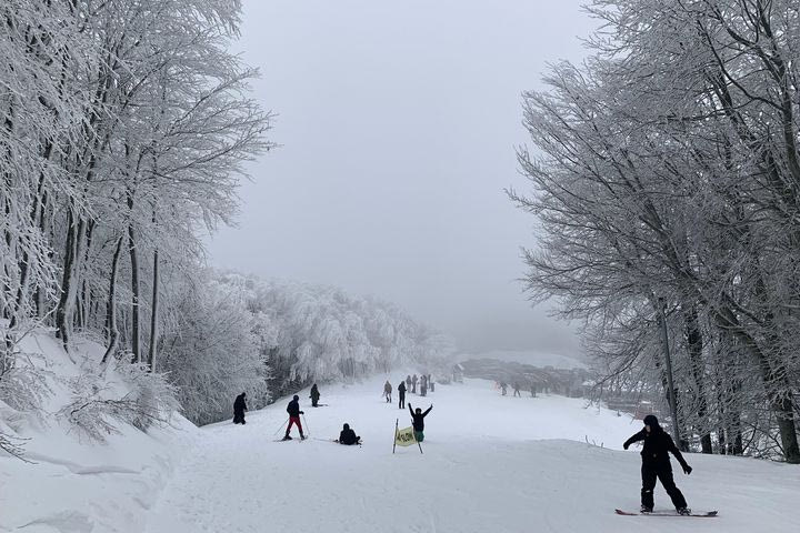 Χιονοδρομικό Κέντρο Πηλίου