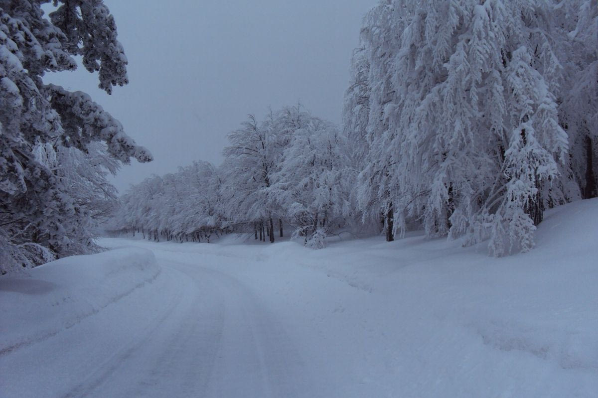 Χιονοδρομικό κέντρο Βασιλίτσας