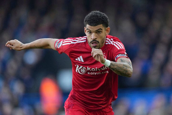 Ο Γκιμπς-Γουάιτ