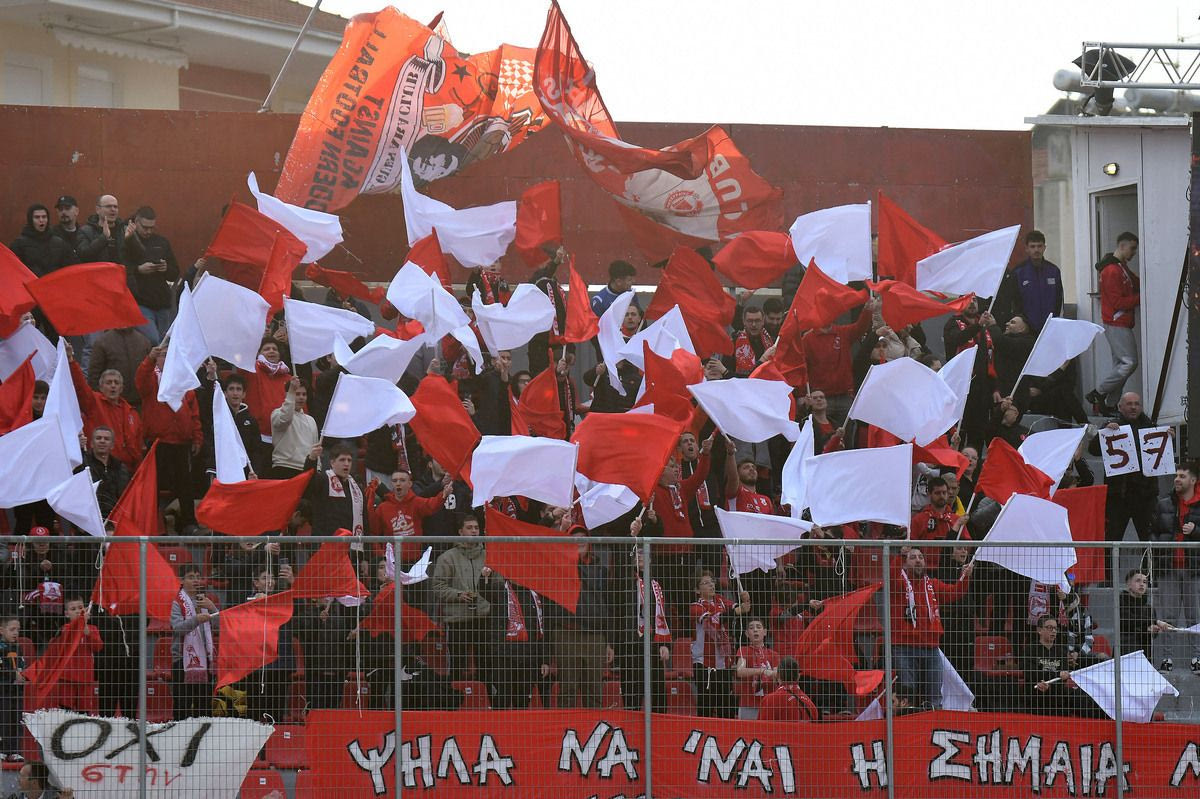 Οι φίλοι του Πανσερραϊκού