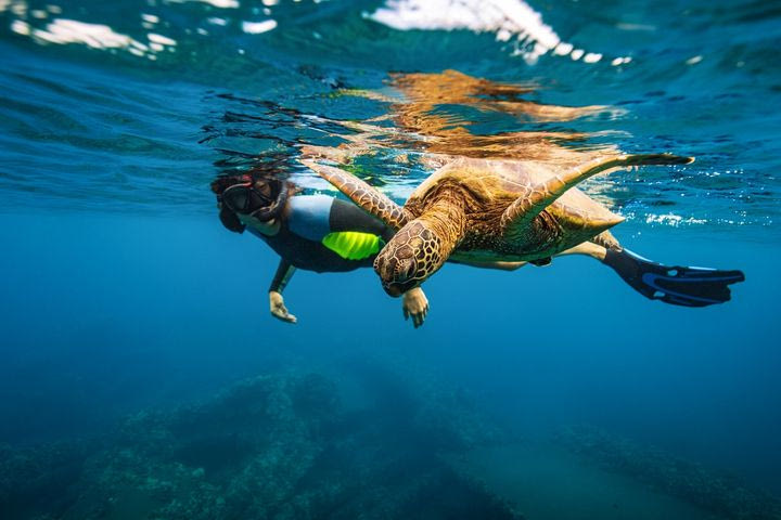 Πού να κάνεις snorkeling στην Ελλάδα: Τα 5+1 καλύτερα σημεία