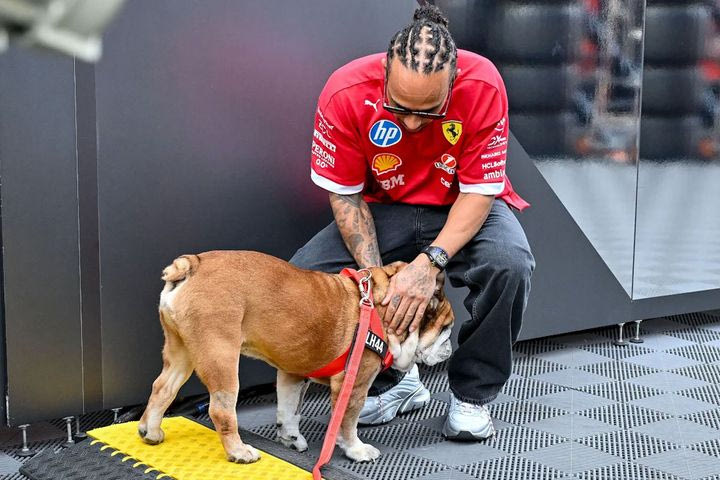 Ο Χάμιλτον αποχαιρέτησε τον αγαπημένο του σκύλο, Roscoe, με ένα πολύ συγκινητικό μήνυμα