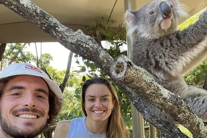 Τσιτσιπάς: Το επικό post του Στέφανου με τη Σάκκαρη και ένα… κοάλα