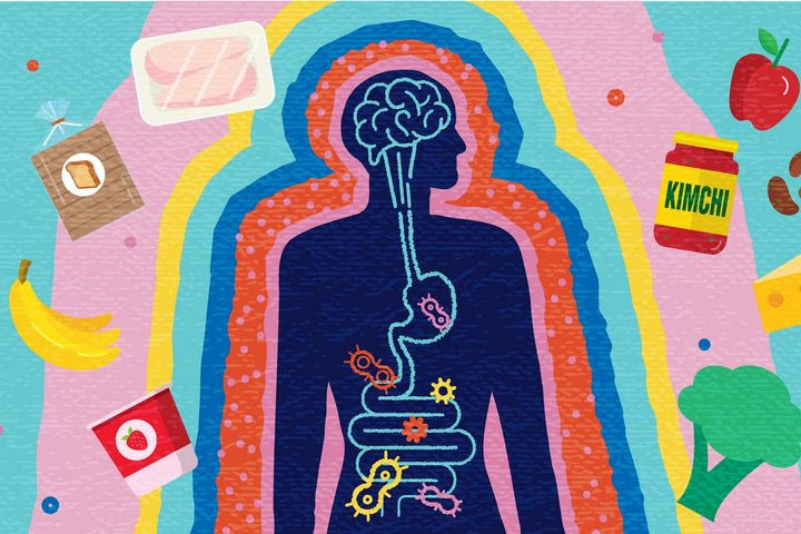 Ήξερες ότι το έντερο είναι ο δεύτερος εγκέφαλός σου;