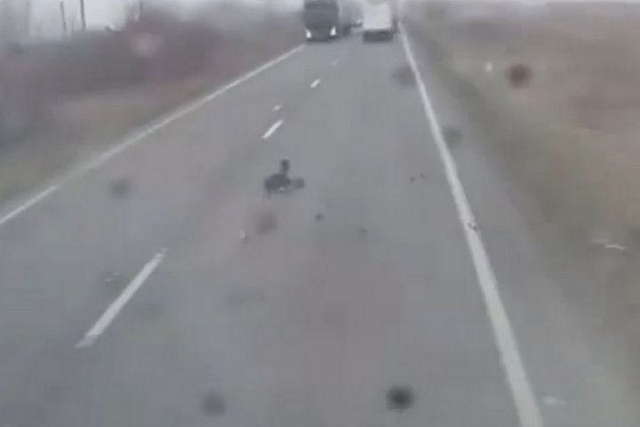 Οπαδοί ΠΑΟΚ, τροχαίο Ρουμανία: Αυτή είναι η κατάσταση των τριών τραυματιών που νοσηλεύονται στο νοσοκομείο