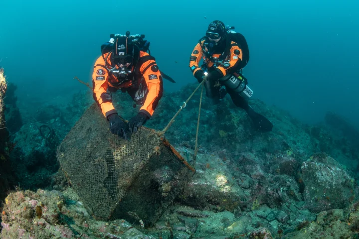 Hyundai και Healthy Seas γιορτάζουν πέντε χρόνια συνεργασίας για την προστασία των ωκεανών