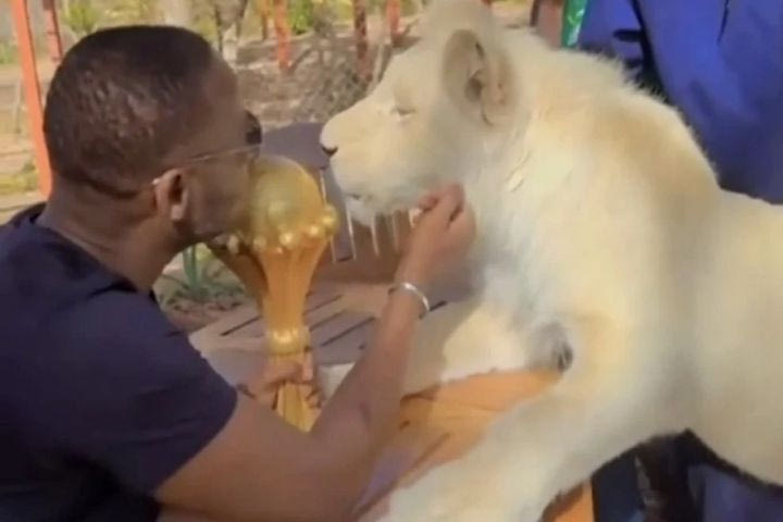 Από τη στρατιωτική βάση… στα λιοντάρια το τρόπαιο του Κυπέλλου Εθνών Αφρικής