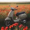 Vespa: Ανανέωση για τις πιο νεανικές και αστικές Primavera και Sprint S