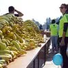 Τερμάτισες και σου δίνουν μπανάνα; Αυτός είναι ο λόγος