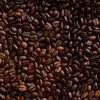 Παγκόσμια διάκριση για την KAFEA TERRA στα global coffee awards