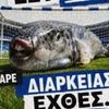 Επικό ποστ του Ηρακλή για τα εισιτήρια διαρκείας: “Ο λαγοκέφαλος έφτασε στις παραλίες”