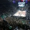 Παναθηναϊκός AKTOR:  Καλεί τον κόσμο της ομάδας στο T-Center για το Game 5 κόντρα στον Ολυμπιακό