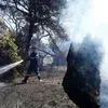 Γύθειο: Νεκρός και τρίτος πυροσβέστης, η ανακοίνωση της Πυροσβεστικής
