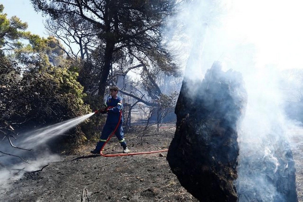 Νεκρός και τρίτος πυροσβέστηςστο Γύθειο – Η ανακοίνωση της Πυροσβεστικής                                          Νεκρός και τρίτος πυροσβέστηςστο Γύθειο – Η ανακοίνωση της Πυροσβεστικής