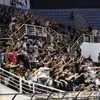 Χιλιάδες φίλαθλοι του ΠΑΟΚ στην παρουσίαση του Τζέντι Όσμαν: Οι πρώτες εικόνες από την PAOK Sports Arena